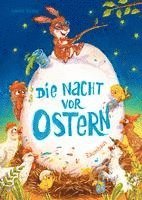 bokomslag Die Nacht vor Ostern