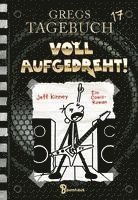 bokomslag Gregs Tagebuch 17 - Voll aufgedreht!