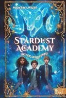 bokomslag Stardust Academy - Hüter der Sterne