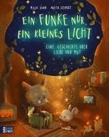 bokomslag Ein Funke nur, ein kleines Licht - Eine Geschichte über Liebe und Mut