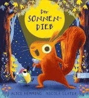 bokomslag Der Sonnendieb