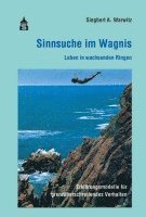 bokomslag Sinnsuche im Wagnis