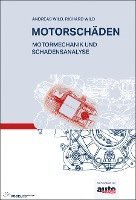 Motorschäden 1