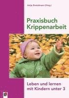 bokomslag Praxisbuch Krippenarbeit