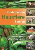 bokomslag Kinder lernen Haustiere kennen