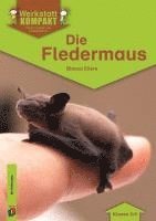 bokomslag Die Fledermaus