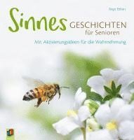 bokomslag Sinnesgeschichten für Senioren