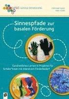 bokomslag Sinnespfade zur basalen Förderung