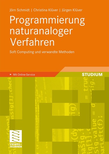 Jörn Schmidt, Christina Klüver, Jürgen Klüver - Programmierung naturanaloger Verfahren, Häftad