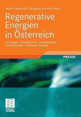 Martin Kaltschmitt, Wolfgang Streicher - Regenerative Energien in Österreich, Häftad