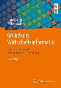 bokomslag Grundkurs Wirtschaftsinformatik