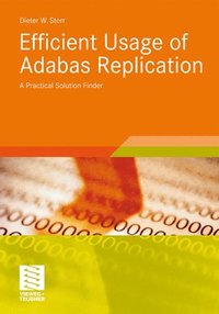 bokomslag Efficient Usage of Adabas Replication