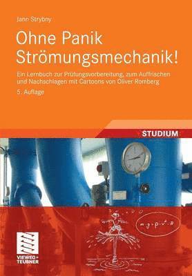 Jann Strybny - Ohne Panik Strömungsmechanik!, Häftad
