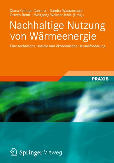 Diana Gallego Carrera, Sandra Wassermann, Wolfgang Weimer-Jehle, Ortwin Renn - Nachhaltige Nutzung von Wärmeenergie, Häftad