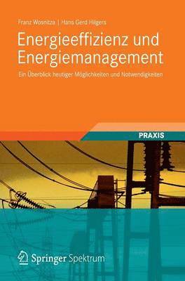 bokomslag Energieeffizienz und Energiemanagement