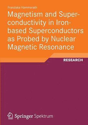 bokomslag Magnetism and Superconductivity in Iron-based Superconductors as Probed by Nuclear Magnetic Resonance