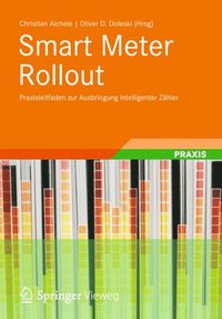 bokomslag Smart Meter Rollout