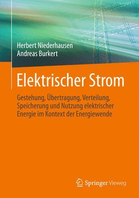 bokomslag Elektrischer Strom