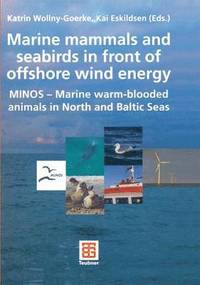 bokomslag Marine mammals and seabirds in front of offshore wind energy