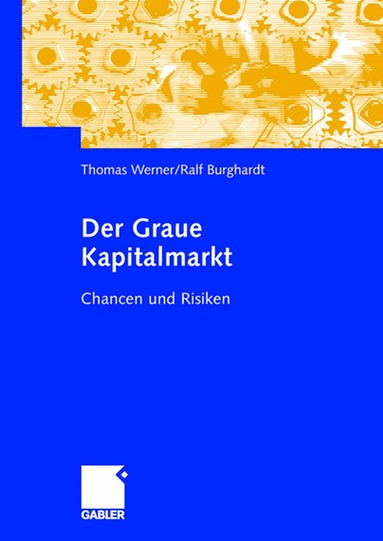 Thomas Werner, Ralf Burghardt - Der Graue Kapitalmarkt, Inbunden
