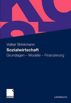 Volker Brinkmann - Sozialwirtschaft, Häftad