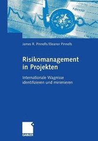 bokomslag Risikomanagement in Projekten