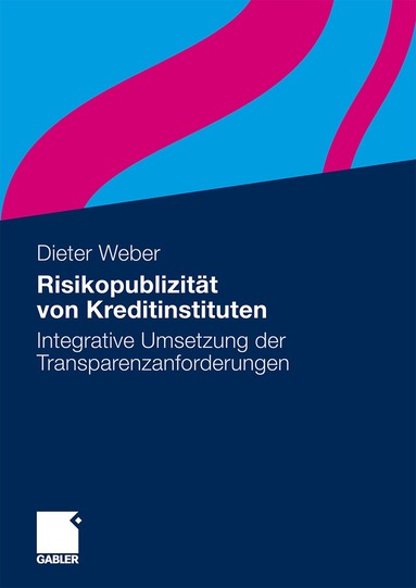 Dieter Weber - Risikopublizität von Kreditinstituten, Inbunden