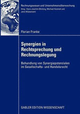 bokomslag Synergien in Rechtsprechung und Rechnungslegung