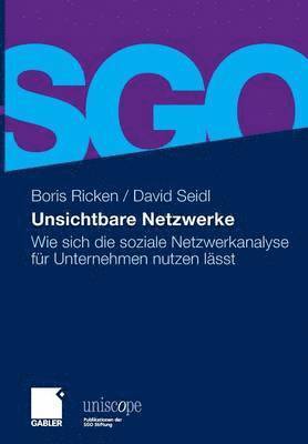 Boris Ricken, David Seidl, Boris Ricken, David Seidl - Unsichtbare Netzwerke, Inbunden