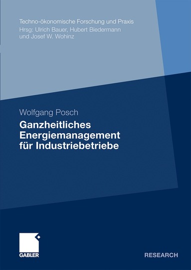 Wolfgang Posch - Ganzheitliches Energiemanagement für Industriebetriebe, Häftad