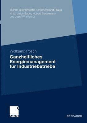 bokomslag Ganzheitliches Energiemanagement für Industriebetriebe