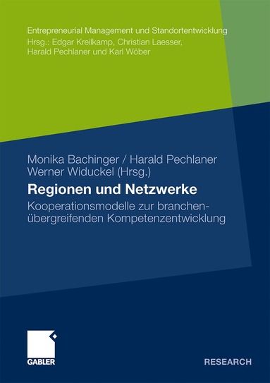 Monika Bachinger, Harald Pechlaner, Werner Widuckel - Regionen und Netzwerke, Häftad