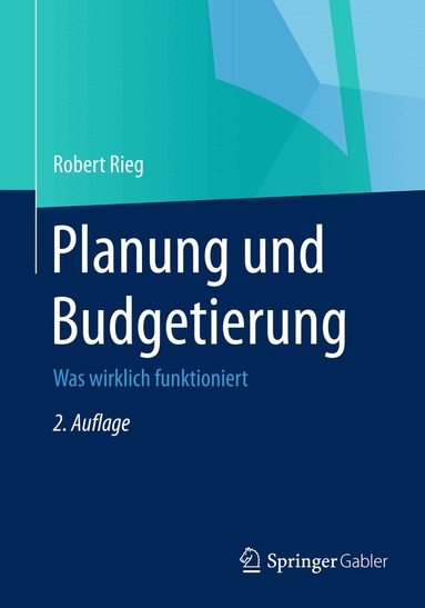 Robert Rieg - Planung und Budgetierung, Häftad