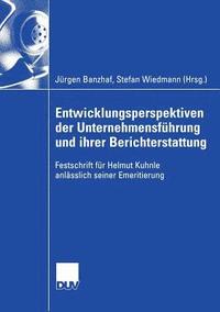 bokomslag Entwicklungsperspektiven der Unternehmensfuhrung und ihrer Berichterstattung