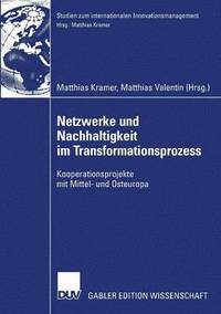 bokomslag Netzwerke Und Nachhaltigkeit Im Transformationsprozess: Kooperationsprojekte Mit Mittel- Und Osteuropa