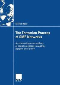 bokomslag The Formation Process of SME Networks