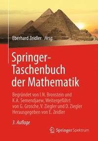 bokomslag Springer-Taschenbuch der Mathematik