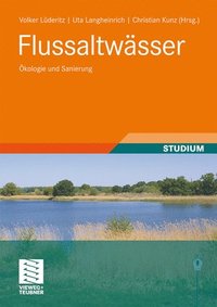bokomslag Flussaltwässer: Ökologie Und Sanierung