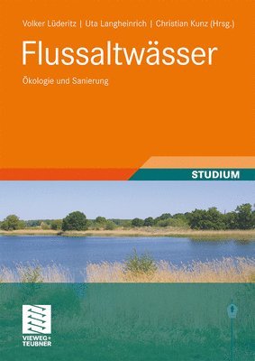 bokomslag Flussaltwässer: Ökologie Und Sanierung