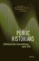 bokomslag Public Historians