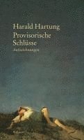 bokomslag Provisorische Schlüsse