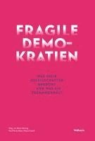 Denis Heuring, Paul-Moritz Rabe, Mirjam Zadoff - Fragile Demokratien, Häftad