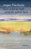 Jürgen Theobaldy - Nun wird es hell und du gehst raus, Inbunden