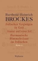 bokomslag Irdisches Vergnügen in Gott