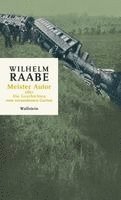 Wilhelm Raabe, Dirk Göttsche - Meister Autor, Inbunden