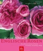 bokomslag David Austin's Englische Rosen