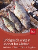 bokomslag Erfolgreich angeln Monat für Monat