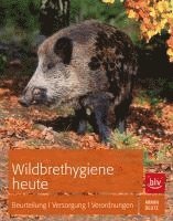 bokomslag Wildbrethygiene heute