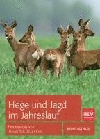 bokomslag Hege und Jagd im Jahreslauf