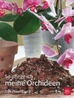 bokomslag So pflege ich meine Orchideen